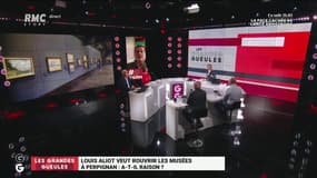 Perpignan réouvre ses musées: "Dès qu'on va à l'encontre du gouvernement on est complotistes", déplore le maire Louis Alliot