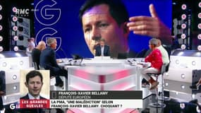François-Xavier Bellamy: "Je n’ai jamais dit que la PMA était une malédiction"