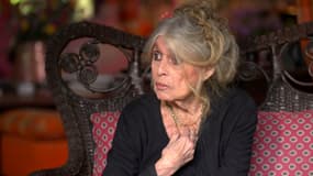 Brigitte Bardot lors de son interview exclusive à BFMTV diffusée ce lundi 12 mai 2025