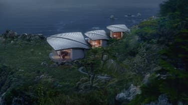 Imaginées par le cabinet d’architecture américain Form 4, ces maisons passives ne dépasseront pas le stade de projet.