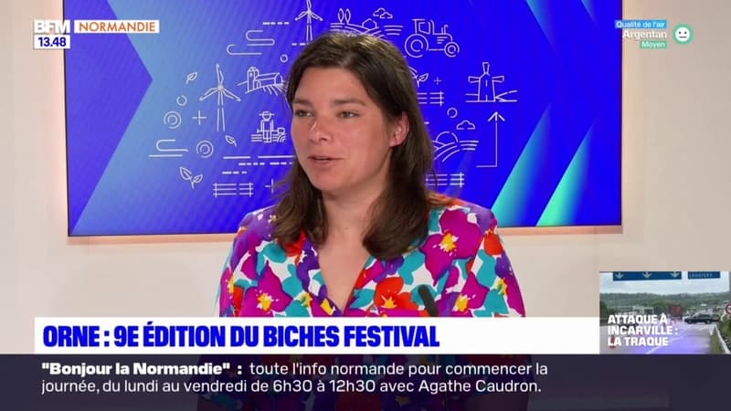 Biches Festival: de nombreuses animations et des enjeux environnementaux