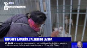 Avec 7200 animaux en attente d'adoption, les refuges de la SPA saturés