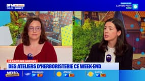 Le Café des Sorties: des ateliers d'herboristerie pour le week-end