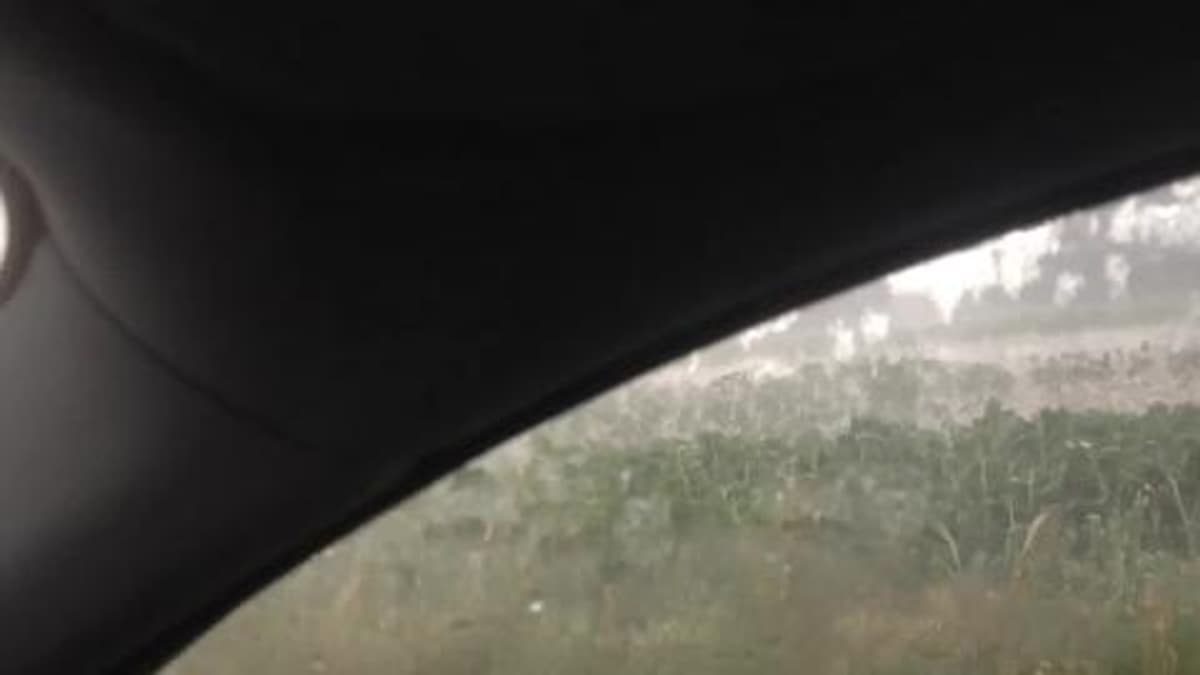 placeholder video