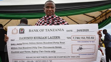 Il devient millionnaire après avoir découvert deux fragments de tanzanite