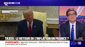 Droits de douane: "Je ne suis pas sûr que des ripostes généralisées sur tous les produits qui viennent des États-Unis soit une réponse pertinente", estime Nicolas Dufourcq, directeur général de la BPI 