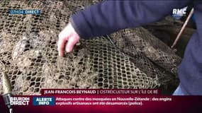 Marée noire: "Quand ça va tomber sur nos poches ça va être catastrophique"