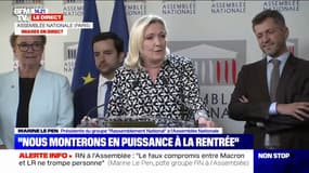 "Rien, zéro, la bulle": pour Marine Le Pen, "rien ne s'est passé" pendant les 100 premiers jours d'Emmanuel Macron