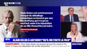 Story 2 : la famille d’Alain Delon s’entredéchire - 04/01