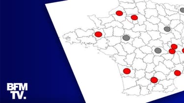 Infographie