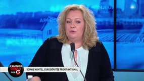 Emplois fictifs : "Qu’est-ce qui est jaune et qui signale? C’est Sophie Montel"