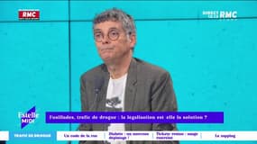 1,3 million de consommateurs réguliers de cannabis en France