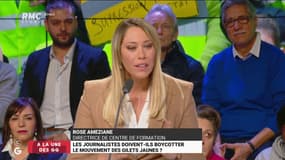 #GiletsJaunes - "Heureusement que les journalistes luttent contre toutes les théories du complot que l'on a entendu !" @AmezianeRose #GGRMC 