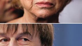 La rivalité entre Eva Joly et Nicolas Hulot s'exacerbe depuis qu'un sondage a présenté l'animateur de télévision comme le grand favori des Français pour incarner la candidature écologiste en 2012. /Photos d'archives/REUTERS