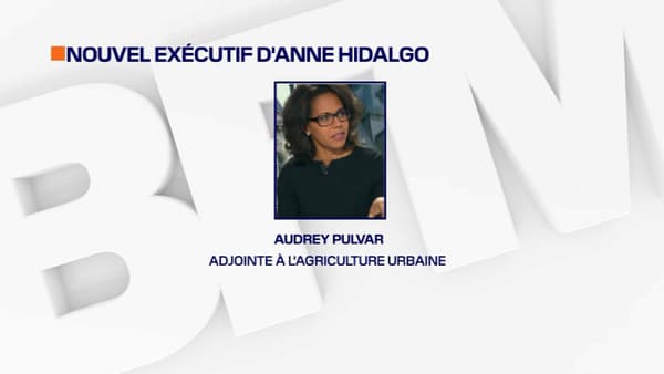 Audrey Pulvar Audrey Pulvar