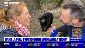 Ariane a testé le métier de soigneur animalier à Thoiry !