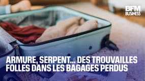  Armure, serpent… Des trouvailles folles dans les bagages perdus 
