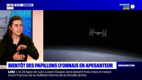 Lyon: Ariane Gayout, chercheuse en physique, a pour projet d'envoyer des papillons en apesanteur