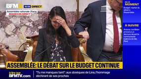 Budget: "Nombre de patates", quand Naïma Moutchou remplace le mot "votants" par "patates"