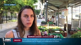 Cette famille de maraîchers ne prend pas de vacances cet été