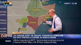 Harold à la carte: Les Shebab somaliens menacent le Kenya d'une "longue et épouvantable guerre"