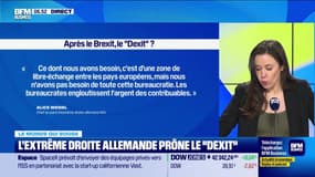 Caroline Loyer : L'extrême droite allemande prône le "Dexit" - 20/12