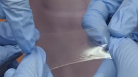 Le tissu a été développé par des chercheurs de l'université nationale de Singapour. 