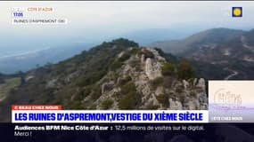 C beau chez nous: les ruines d'Aspremont, vestiges du XIe siècle