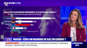 LA VÉRIF' - Les sanctions économiques contre la Russie peuvent-elles se retourner contre la France ?