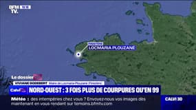Tempête Ciarán: "Les dégâts sont énormes", déplore la maire de Locmaria-Plouzané (Finistère)