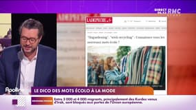Les histoires de Charles Magnien  : Le dico des mots écolo à la mode, et la France championne d'Europe de boucherie - 11/11