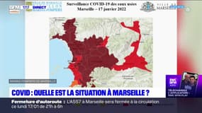 Covid-19 à Marseille: le variant Delta a quasiment disparu, au profit de l'Omicron