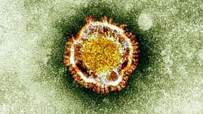 LE coronavirus vu au microscope - Image d'illsutration