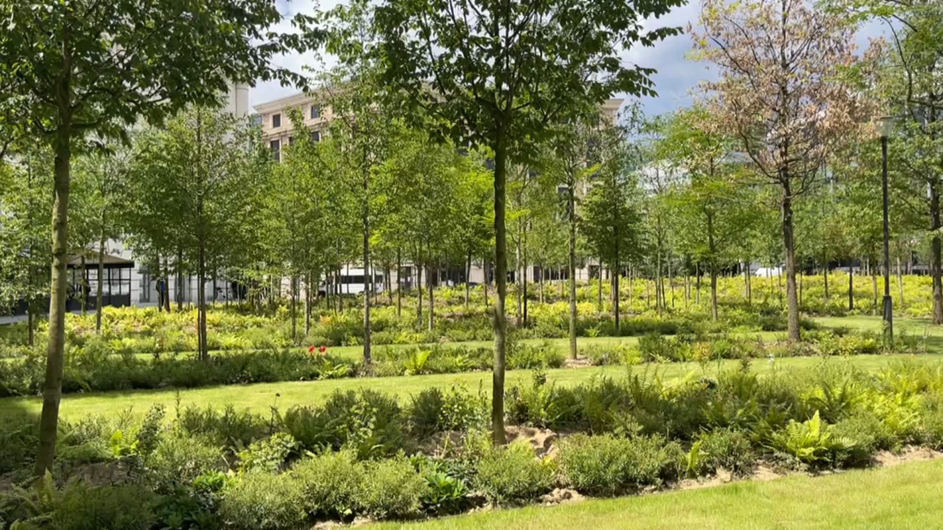 La place de Catalogne, en juin 2024, transformée en "forêt urbaine".
