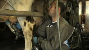 Les agriculteurs s’organisent pour regarder la Coupe du monde
