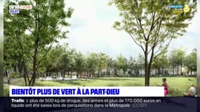 Lyon: un projet de végétalisation du quartier de la Part-Dieu