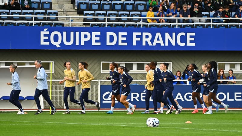 Equipe de France: une avancée historique pour les Bleues, logées à la même enseigne que les hommes