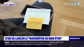 Lyon va lancer le "baromètre du bien-être" permettant d'ajuster les politiques municipales