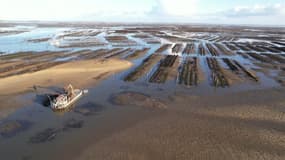 Des parcs à huîtres du bassin d'Arcachon, vus du ciel, début décembre 2025.
