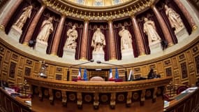 L'hémicycle du Sénat au Palais du Luxembourg à Paris, le 17 novembre 2016 à Paris 