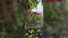 Des branches tombées près de voitures ce samedi soir à Tours à cause des orages qui touchent une grande partie de la France.