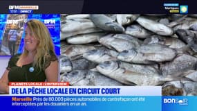 Planète Locale du mercredi 18 septembre - Méditerranée : ils promeuvent la pêche durable