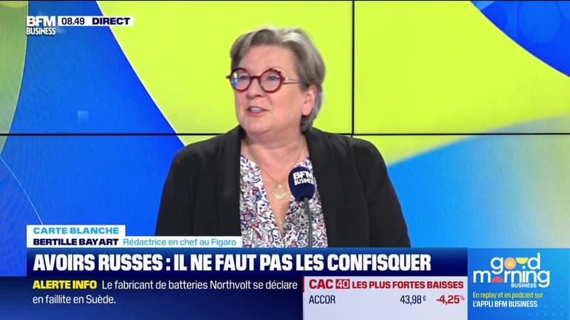 La carte blanche - Pour renforcer le soutien à l'Ukraine, faut-il confisquer les avoirs gelés russes?