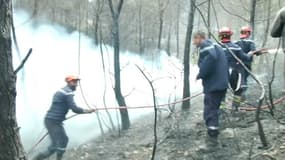 Un incendie avait ravagé 2.000 mètres carré de pinède dans les Bouches-du-Rhône en juillet. 