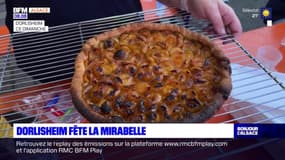 Bas-Rhin: la fête de la mirabelle fait son retour à Dorlisheim