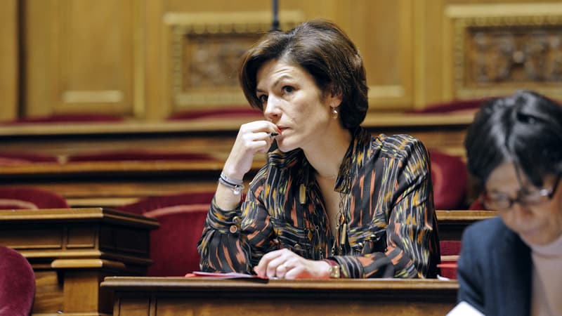 Chantal Jouanno au Sénat en janvier 2012.