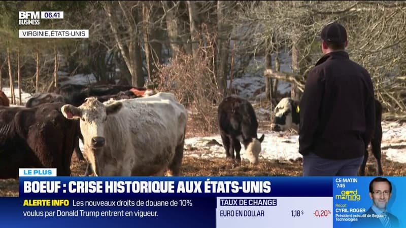 Sécheresse, maladies liées aux dérèglements climatiques... Aux États-Unis, les cheptels bovins ont atteint leur niveau le plus bas depuis 75 ans