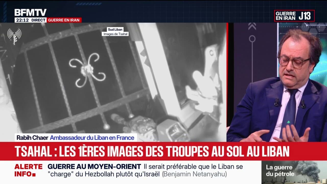 Lebanon War: Ambassador in France Expresses Distress Over History Repeating Itself