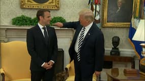 Ce moment où Donald Trump époussette les pellicules d'Emmanuel Macron