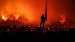 Un pompier se tient face aux flammes près du village de Belin-Béliet (Gironde) le 11 août 2022.